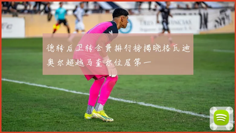 德转后卫转会费排行榜揭晓格瓦迪奥尔超越马奎尔位居第一
